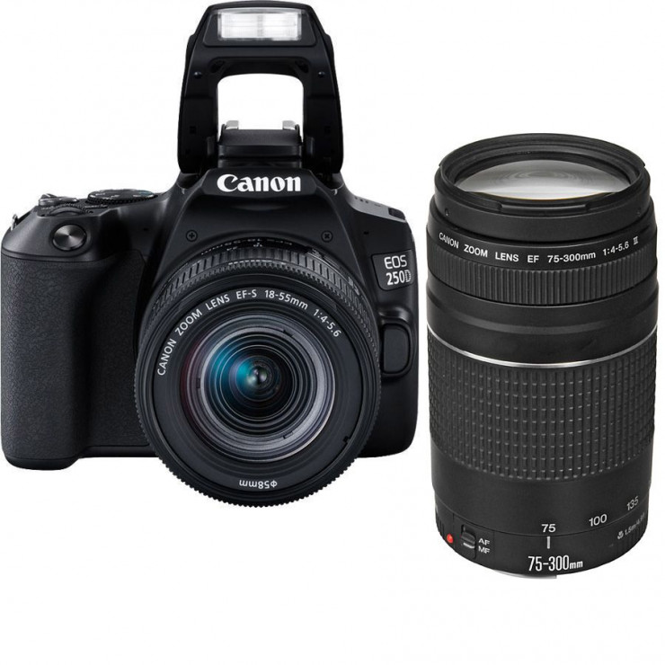  Canon EOS 250D DSLR Double Lens Kit