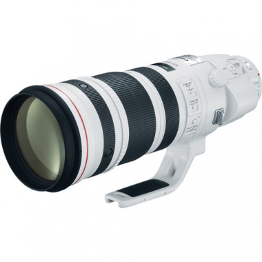 Canon EF 200-400mm f/4 L IS USM Extender 1.4X