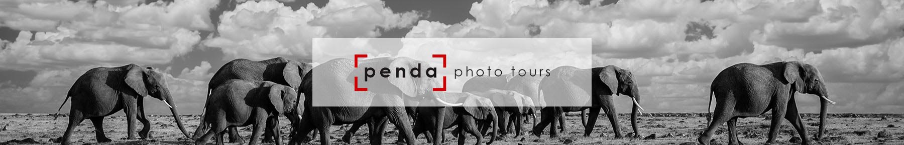 Find Out More about the Cameraland - Penda Partnership